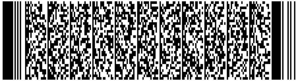 DL Hawaii PDF417 Barcode